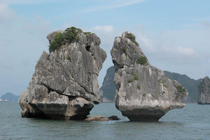 12日間のハノイHalongHue Hoi An My Son Ho Chi Minh Cu Chi Mekong Delta