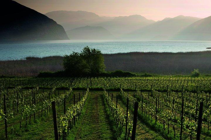 Bérgamo e Franciacorta com almoço e visita à adega