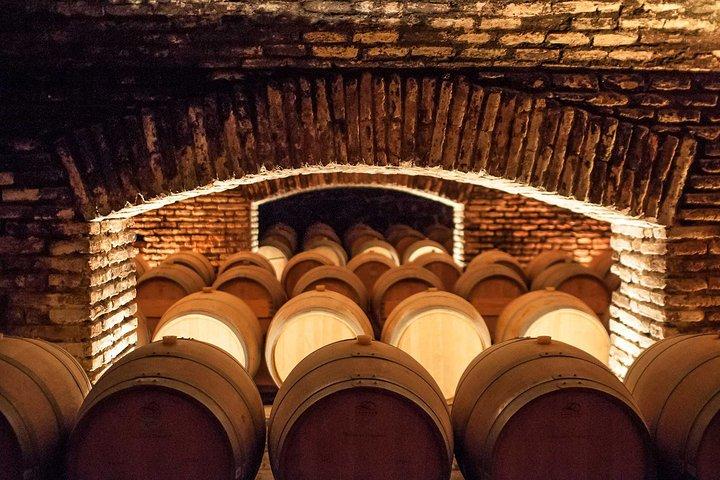 Maipo Valley vintur, Concha y Toro, privat overførsel fra Santiago