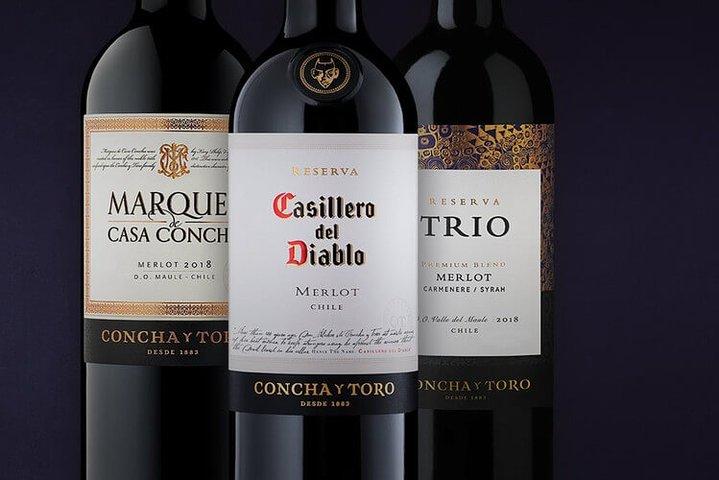 Maipo Valley vintur, Concha y Toro, privat overførsel fra Santiago
