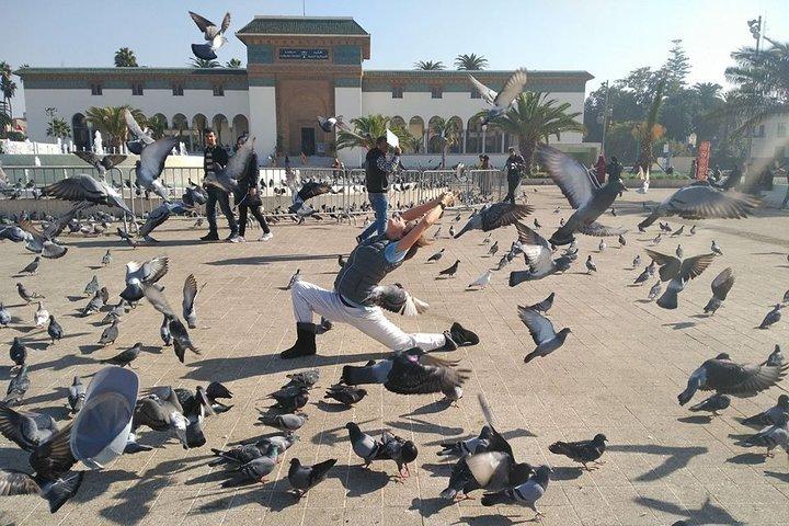 Casablanca one day trip from Marrakech