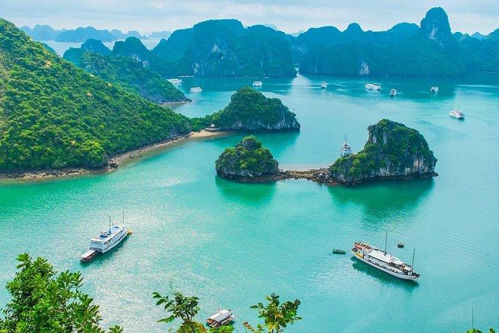 Baía de Hanói Ninh Binh Halong por 7 dias durante a noite em cruzeiro