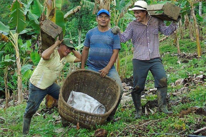 Explore o processo do café_Da árvore à xícara e diversão de Jeep