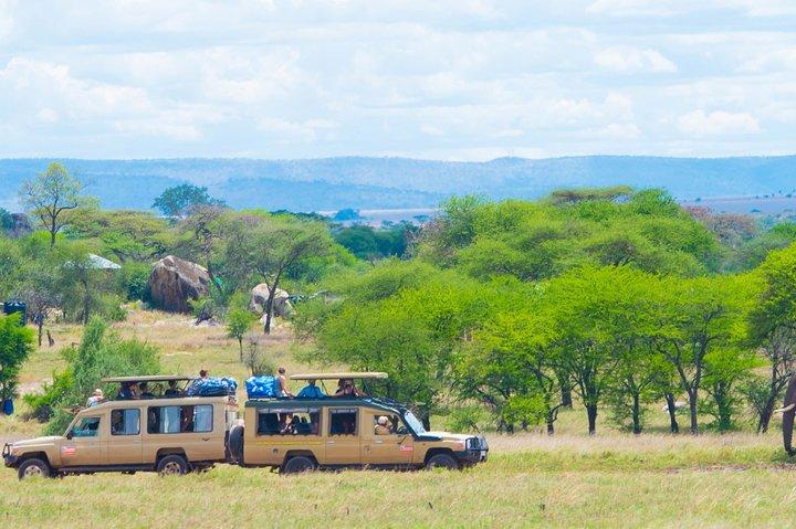 Safari Lodge de 6 jours.