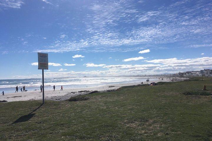 Private day tour along the west coast around Cape Town