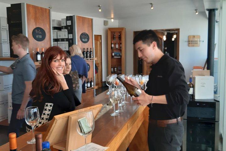 Gita privata di un giorno a Valparaíso e Viña del Mar con Boutique Winery