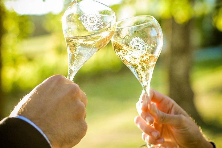 シャンパン地方の遠足とワインの試飲