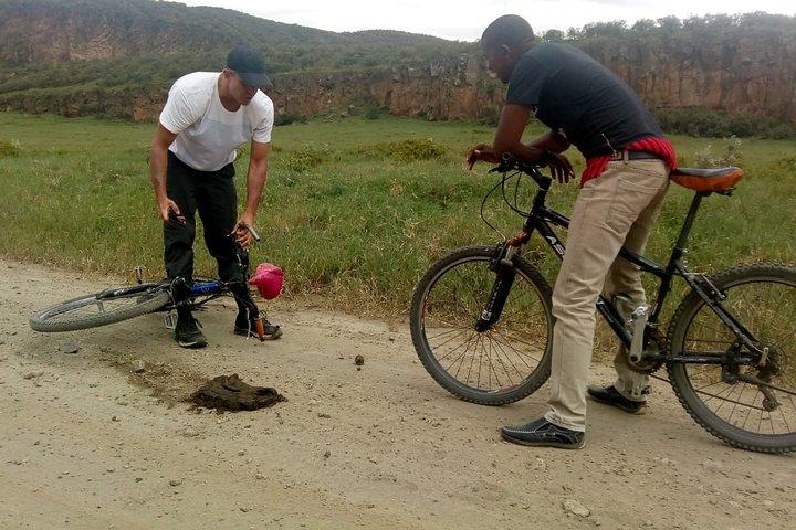 Tour di gruppo di 7 giorni nei parchi nazionali Maasai Mara, Nakuru, Naivasha e Amboseli