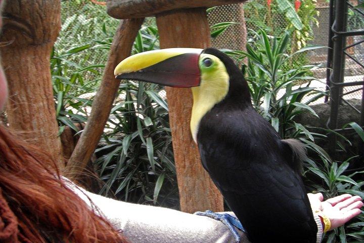 La Paz Waterfall Gardens and Wildlife Refuge Tour fra San Jose
