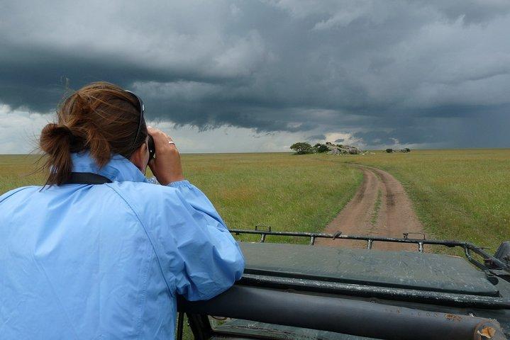 Serengeti gnu migration.