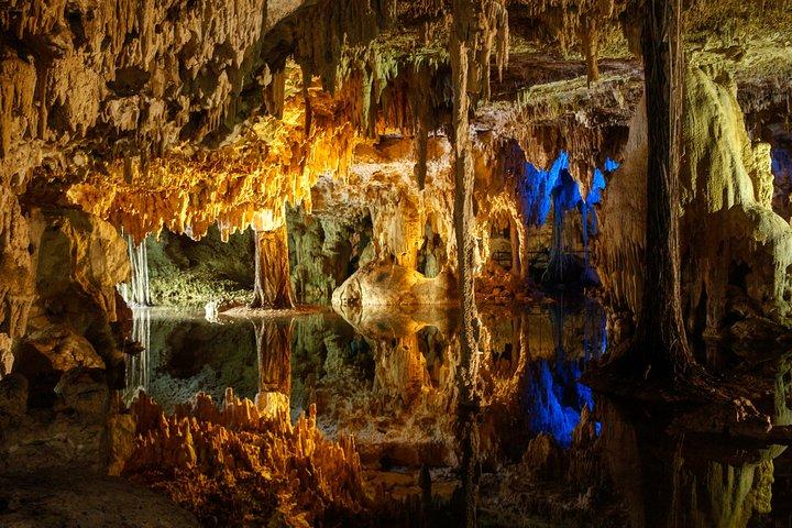 Private Turtles & Cenotes Adventure