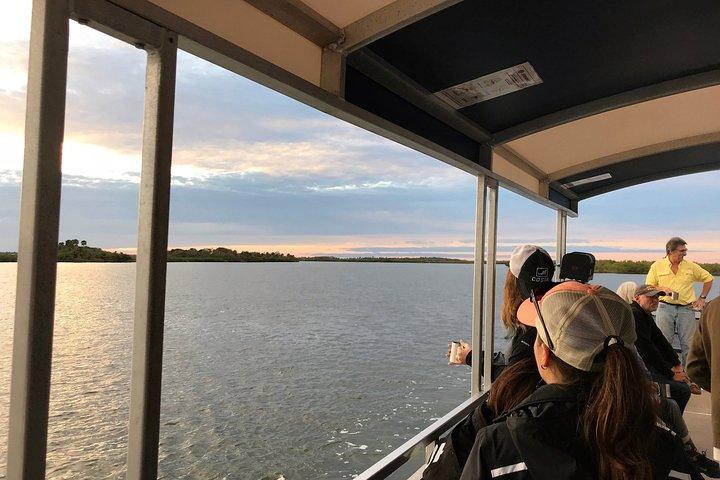 Visite de la faune de l'Indian River Lagoon avec un capitaine expérimenté