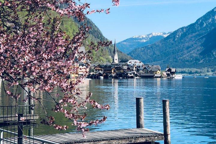 Excursão privada de dia inteiro em Hallstatt e Salzkammergut saindo de Salzburgo com opções