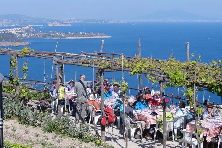 Half-day east coast hike in Ischia island with pick-up