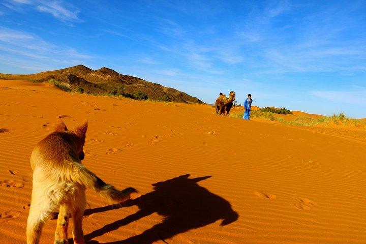 Tour privato di 4 giorni da Agadir a Marrakech con pernottamento nelle dune di Erg Chegaga