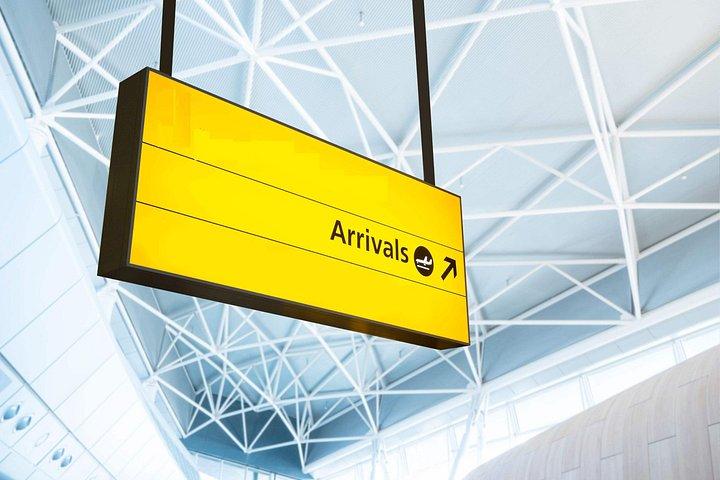 浦東国際空港から上海クルーズポートへのプライベートトランスファー