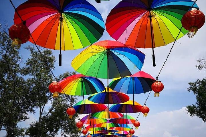Kuala Selangor Sky Mirror & Sekinchan (SIC - Join In Tour)