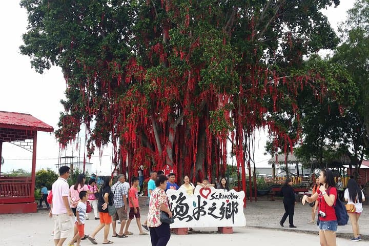 Kuala Selangor Sky Mirror & Sekinchan (SIC - Join In Tour)
