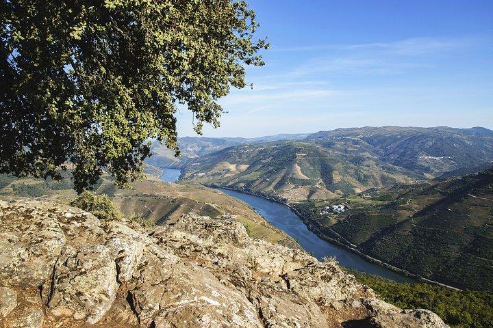 Autista con veicolo privato nella valle del Douro