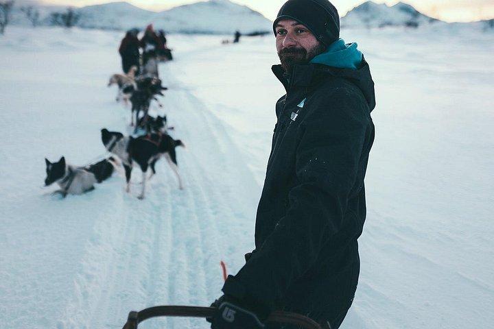 Tromso självkörande hundspann