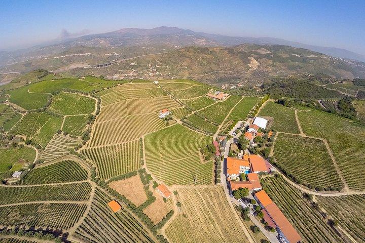 Autista con veicolo privato nella valle del Douro
