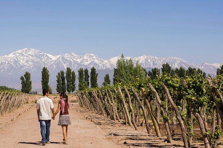 4-dages semiprivat Mendoza Wine Experience