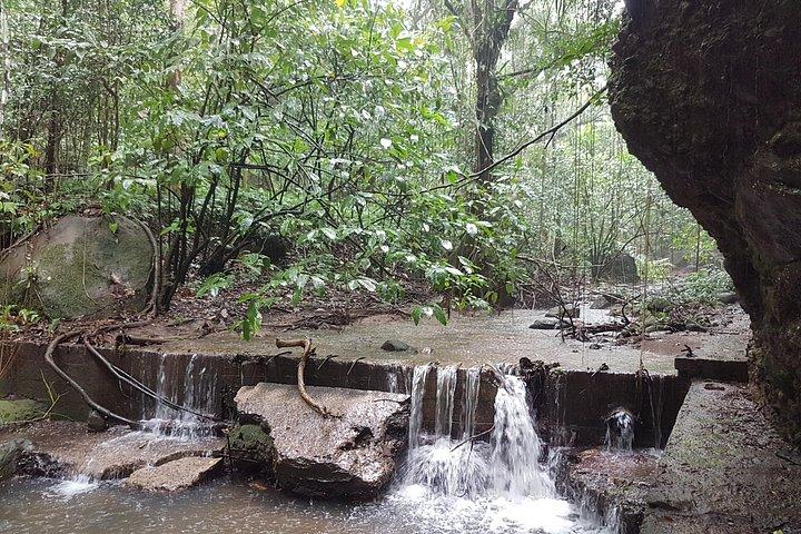 St Kitts Half-Day Rainforest Tour