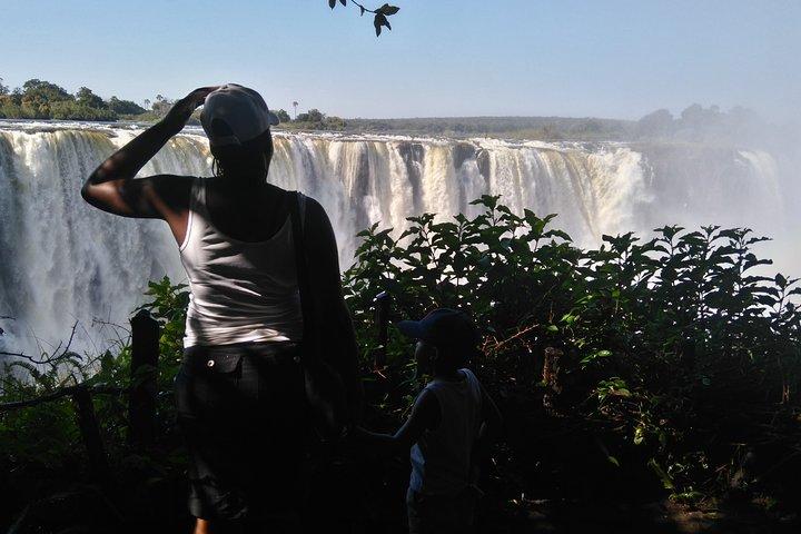 Victoria Falls Guided Tour mit Abholung