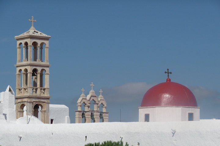 Halvdags privat guidet tur i Mykonos