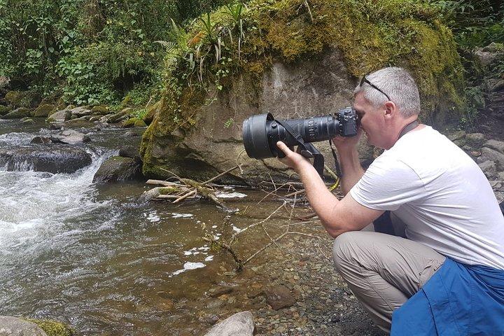 Hiking Full Day - Acaime, Cocora