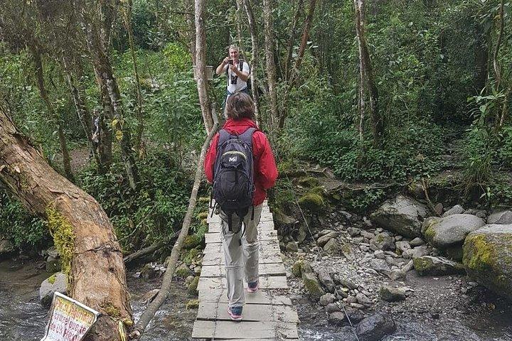 Hiking Full Day - Acaime, Cocora