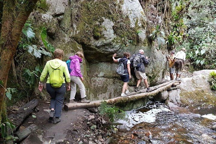 Hiking Full Day - Acaime, Cocora