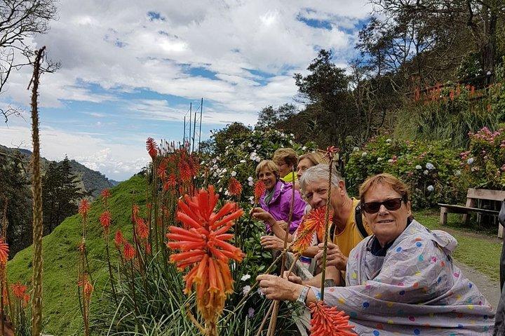Hiking Full Day - Acaime, Cocora