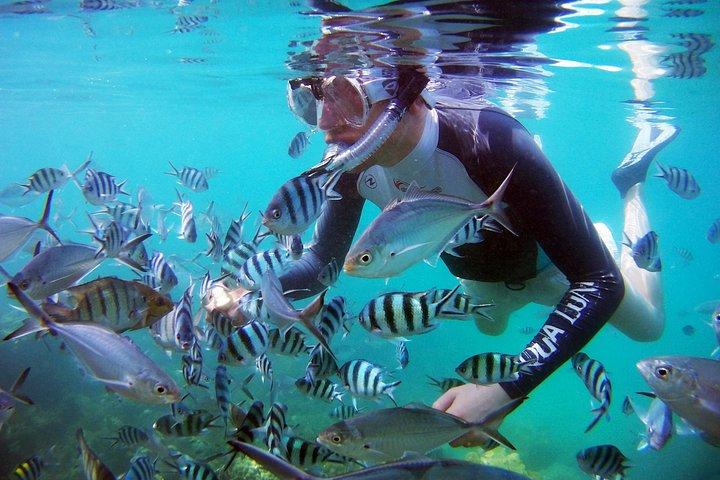 アーントーン国立海洋公園へのプライベート終日ブルードラゴンヨット