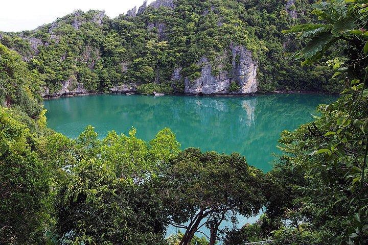 アーントーン国立海洋公園へのプライベート終日レッドドラゴンヨット