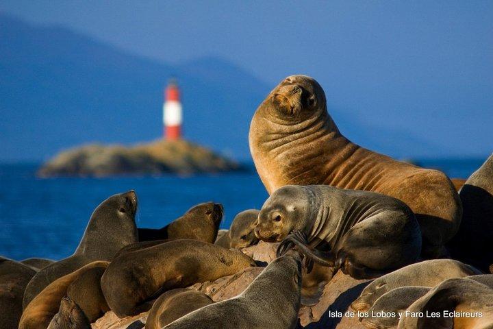 Beagle Channel Navigation - Sea Lions Island