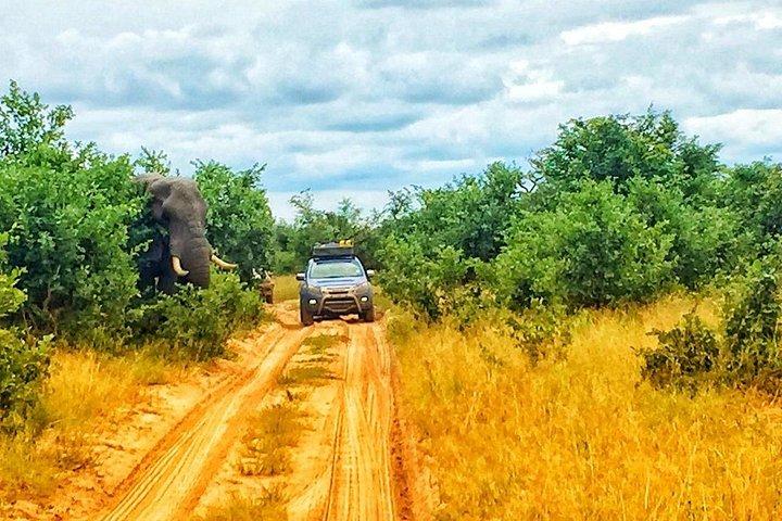 3 Day Moremi camping Safari