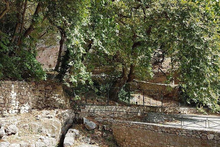Argolis Olympia & Delphi Three-Day Tour