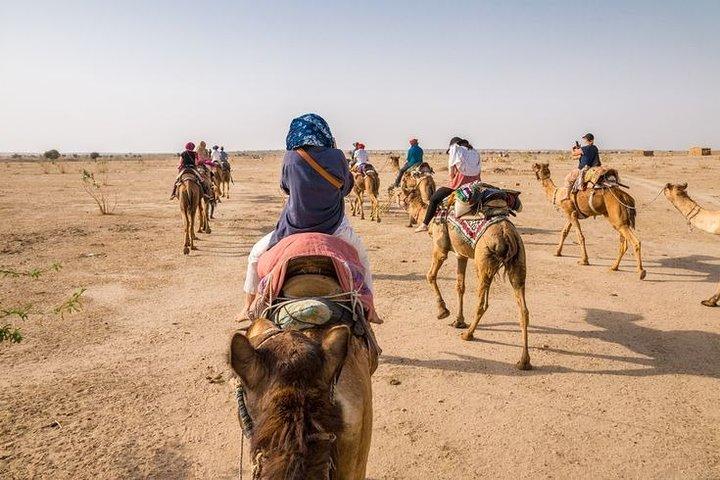 Osian Desert Camel Safari