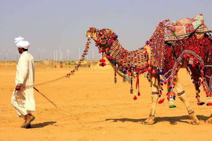 Osian Desert Camel Safari
