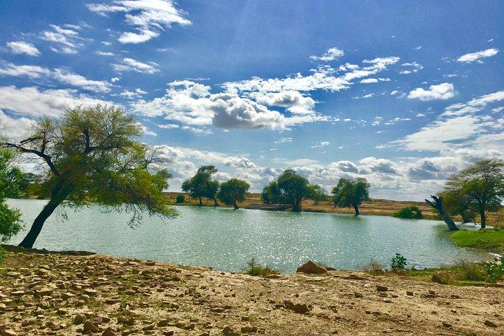 Safari de 2 jours et une nuit dans le désert du Thar de 7h30 à 11h00 le lendemain