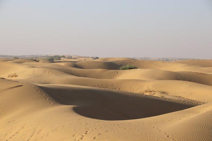 Safari de 2 jours et une nuit dans le désert du Thar de 7h30 à 11h00 le lendemain