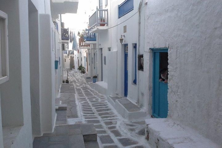 Halvdags privat guidet tur i Mykonos