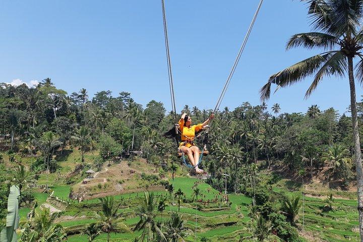 Tour dell'altalena di Ubud, del tempio dell'acqua e delle cascate