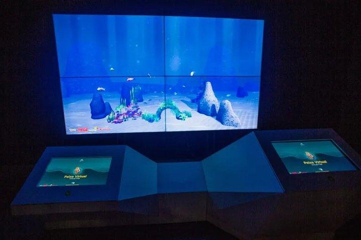 Aquario Com Boulevard Olímpico Rio de Janeiro