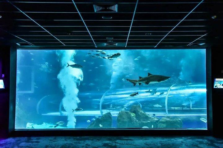 Aquario Com Boulevard Olímpico Rio de Janeiro