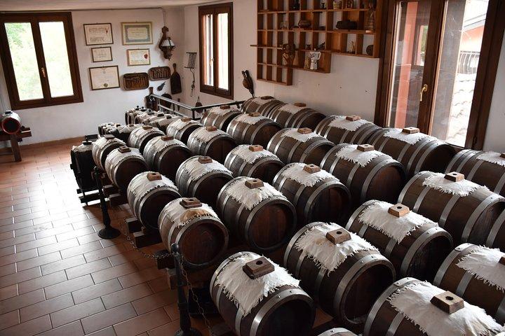 Privat halvdagstur i Parma