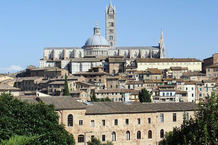 Siena private guided tour for families