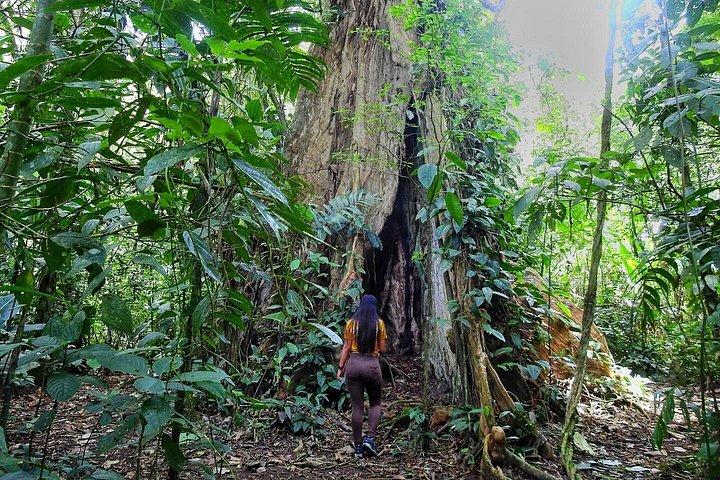 Nature Hike in La Fortuna