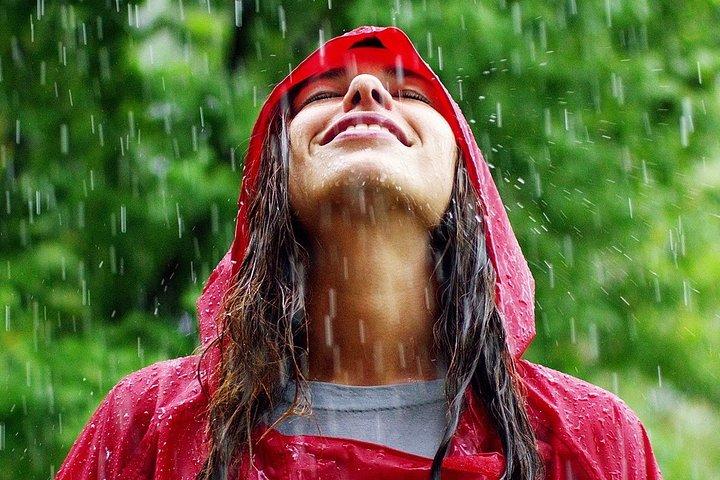 Pacchetto vacanze Rainforest Lovers 9D / 8N